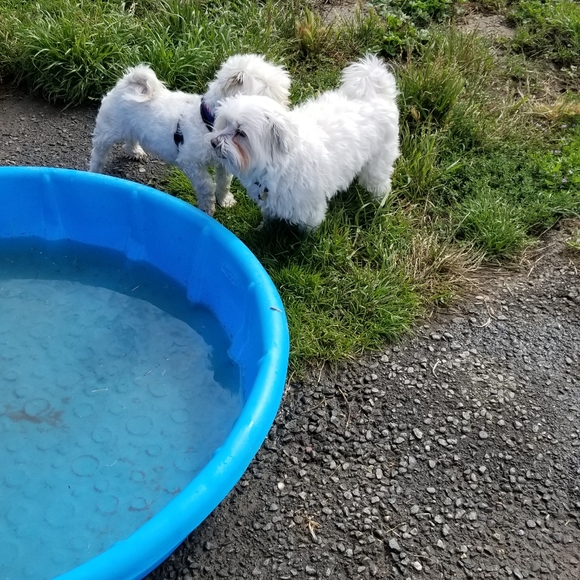 We Love Offers❤️😁 - Picture 5 of 10